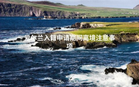 爱尔兰入籍申请期间离境注意事项