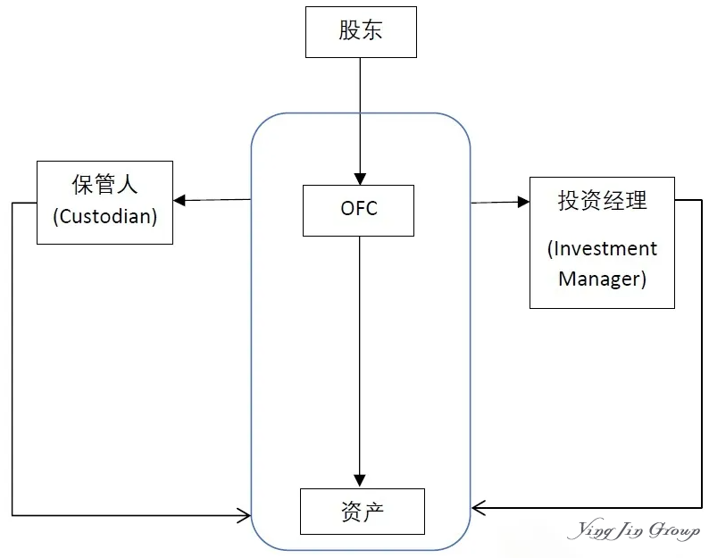 香港基金市场双璧：LPF与OFC深度解析与选择指南