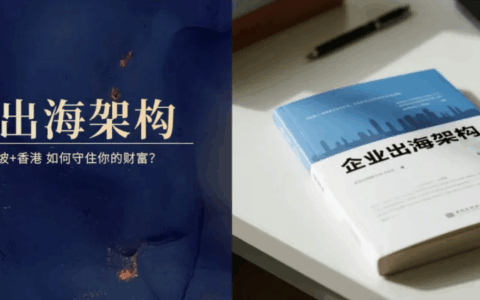 企业出海黄金组合：开曼、BVI、新加坡、香港角色全解析