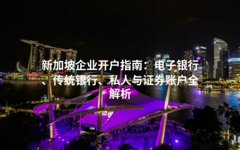 新加坡企业开户指南：电子银行、传统银行、私人与证券账户全解析