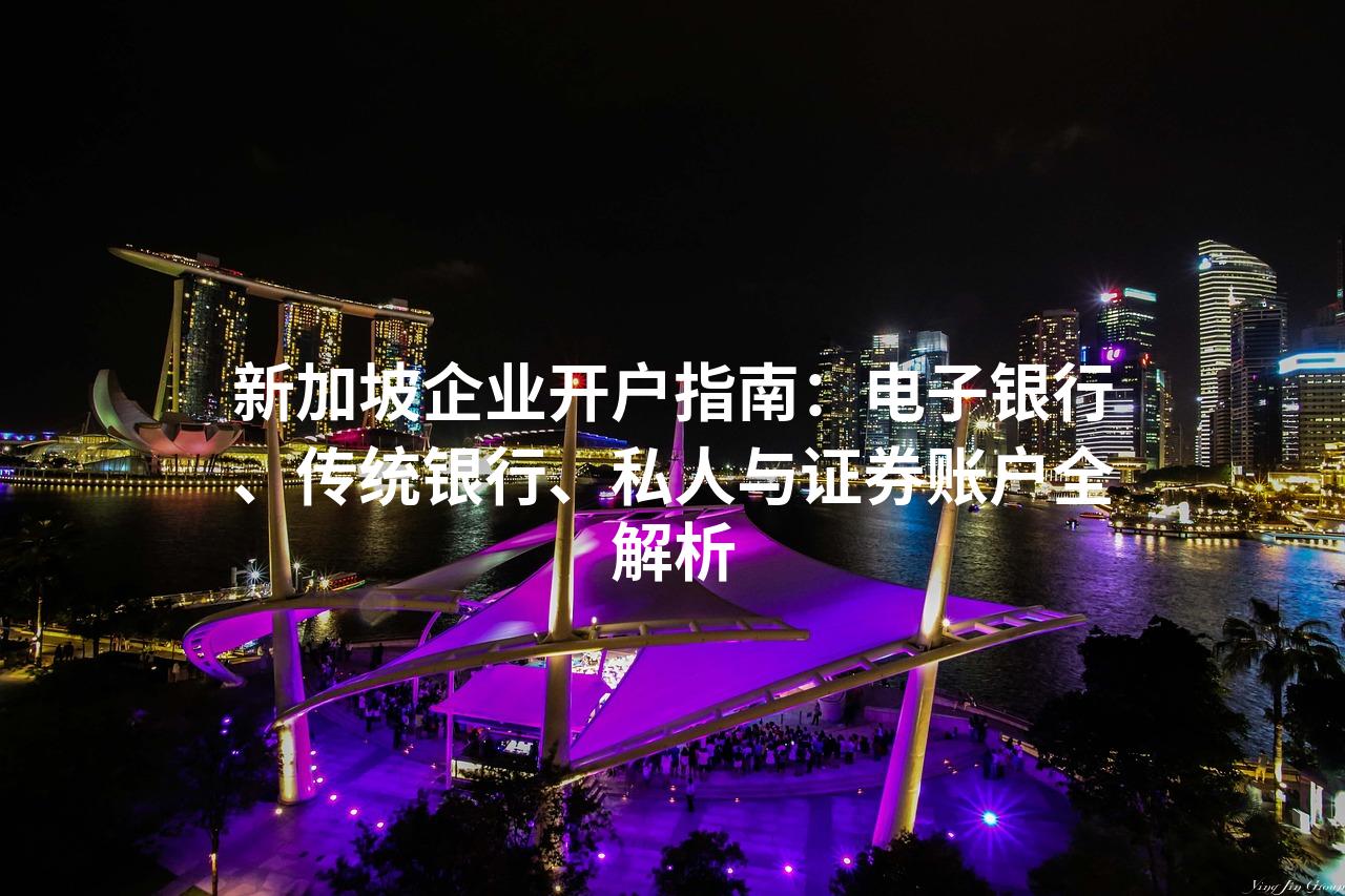 新加坡企业开户指南：电子银行、传统银行、私人与证券账户全解析