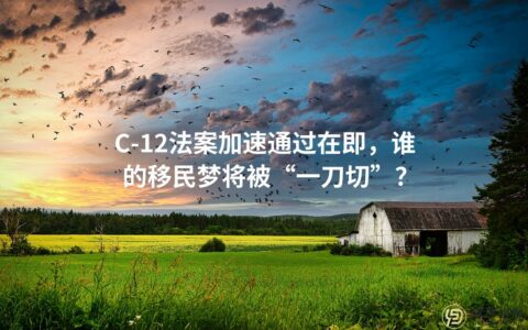 C-12法案加速通过在即，谁的移民梦将被“一刀切”？