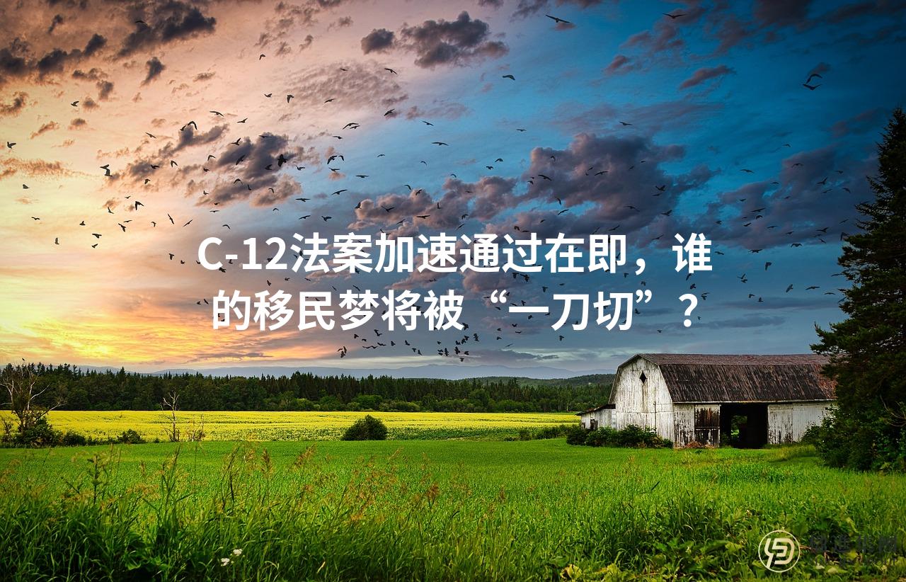 C-12法案加速通过在即，谁的移民梦将被“一刀切”？